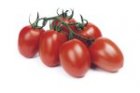 Pomidor Reva 250n