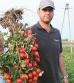 Pomidor Ifox 2500n