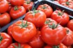 Pomidor Grumira ( Corvera ) T47812B 500n
