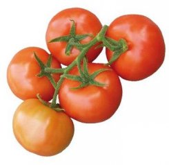 Pomidor Idoll 500n