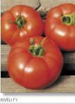 Pomidor Kiveli 500n