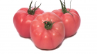 Pomidor Gusto Pink 250n