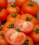 Pomidor Florenzia 1000n