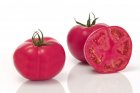Pomidor Pink Impression 500n
