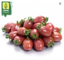 Pomidor Purpurina 100n