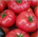 Pomidor Loara 250n