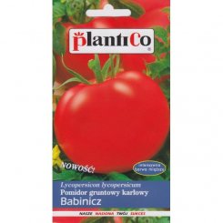 Pomidor Babinicz 10g