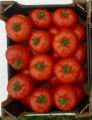 Pomidor Eurasia (Asya) 50n