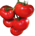 Pomidor Celesteen 250n