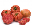 Pomidor Bocamegra 250n