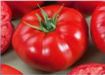 Pomidor Alceste 250n