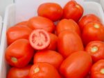 Pomidor gruntowy