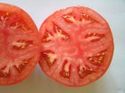 Pomidor Tomimaru Muchoo 500n