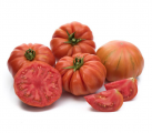 Pomidor Bocamegra 100n