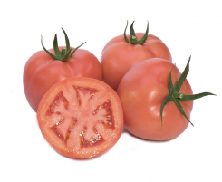 Pomidor Pink Panter 250n