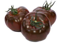 Pomidor Big Sacher 50n