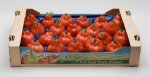 Pomidor Arawak 500n