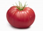 Pomidor Malinowy Warszawski 10g