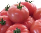 Pomidor Mamirio (tyrade pink) 500n