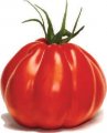 Pomidor Corazon 250n