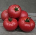 Pomidor Zersy 250n