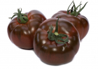 Pomidor Big Sacher 100n