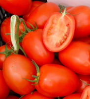 Pomidor Colibri 1000n