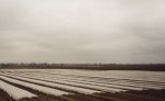 Agrowłóknina 19g 3.20m x 100mb