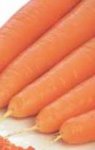 Marchew Karotan 250g