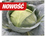 Kapusta Succesor 2500n