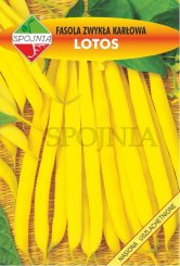 Fasola Lotos 500g