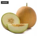 Melon Gediz 100n