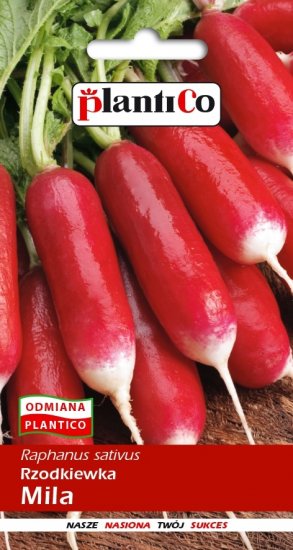 Rzodkiewka Mila 500g - Kliknij na obrazek aby go zamknąć