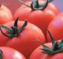 Pomidor Paronset 500n