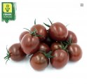 Pomidor Chocolina 50n