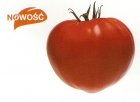 Pomidor Gourmandia 250n
