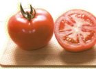 Pomidor Boderine 500n