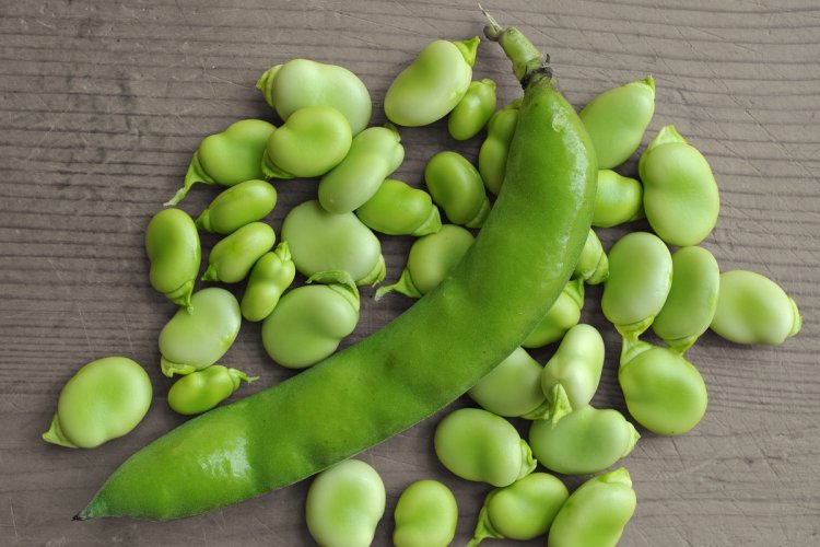 Bób Bizon 5kg - Kliknij na obrazek aby go zamknąć