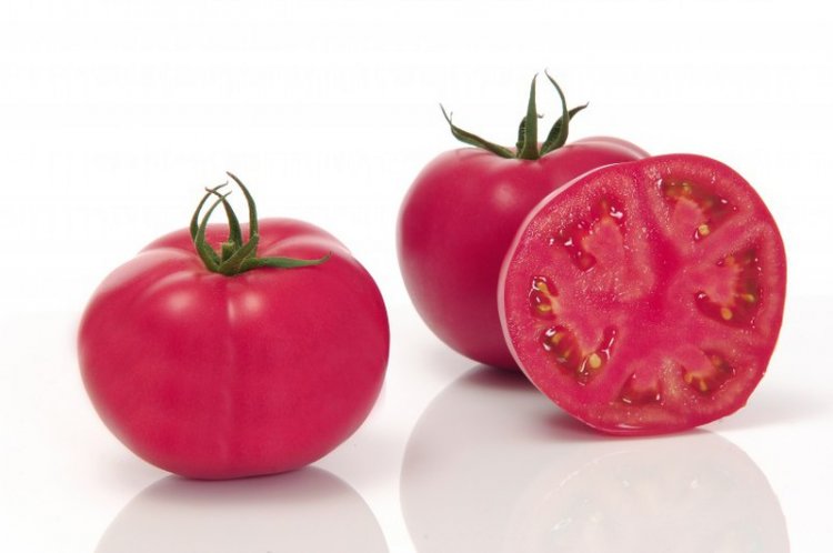 Pomidor Pink Impression 500n - Kliknij na obrazek aby go zamknąć