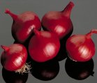 Cebula Red Brunswick 100g
