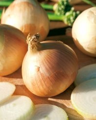Cebula ozima Augusta 500G