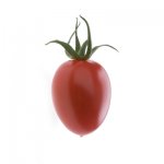 Pomidor Pareso 100n