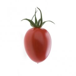 Pomidor Pareso 100n