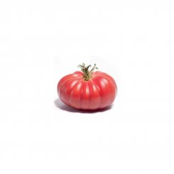 Pomidor Monterosa HB101153 250n
