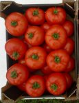 Pomidor Eurasia (Asya) 100n