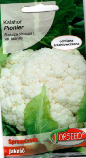 Kalafior Pionier 10g - Kliknij na obrazek aby go zamknąć