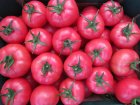 Pomidor Framboo 250n