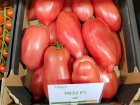 Pomidor Cornarose 250n