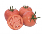 Pomidor Pink Panter 50n