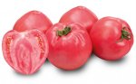 Pomidor Pinkince 100n